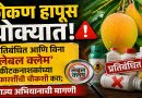कोकण हापूस धोक्यात: प्रतिबंधित आणि विना ‘लेबल क्लेम’ कीटकनाशकांच्या शिफारशींची चौकशी करा; सुराज्य अभियानाची मागणी
