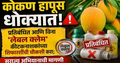 कोकण हापूस धोक्यात: प्रतिबंधित आणि विना ‘लेबल क्लेम’ कीटकनाशकांच्या शिफारशींची चौकशी करा; सुराज्य अभियानाची मागणी