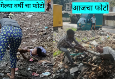गोग्रासवाडीतील अनधिकृत गोठ्याच्या दलदलीत पुन्हा एक व्यक्ती अडकला!